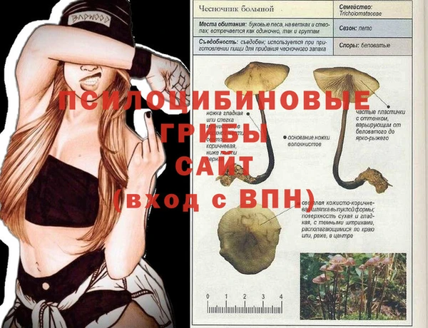 a pvp Нефтегорск