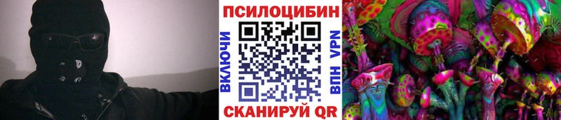 Купить  Спас-Деменск  Псилоцибиновые грибы GOLDEN TEACHER 